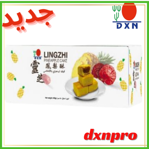 DXN Lingzhi Pineapple Cake